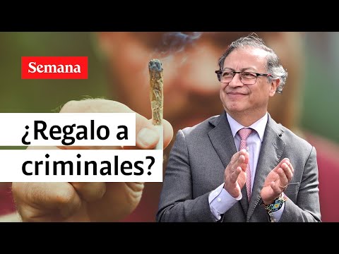 ¿Petro anticipó el regalo de navidad al microtráfico? | Videos Semana