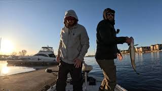 Jerkin Off in Sturgeon Bay