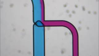 Out of plane capillary stop valve