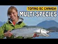 COHO SALMON, LINGCOD, ROCKFISH! So Many Species in Tofino Vancouver Island BC! | Fishing with Rod