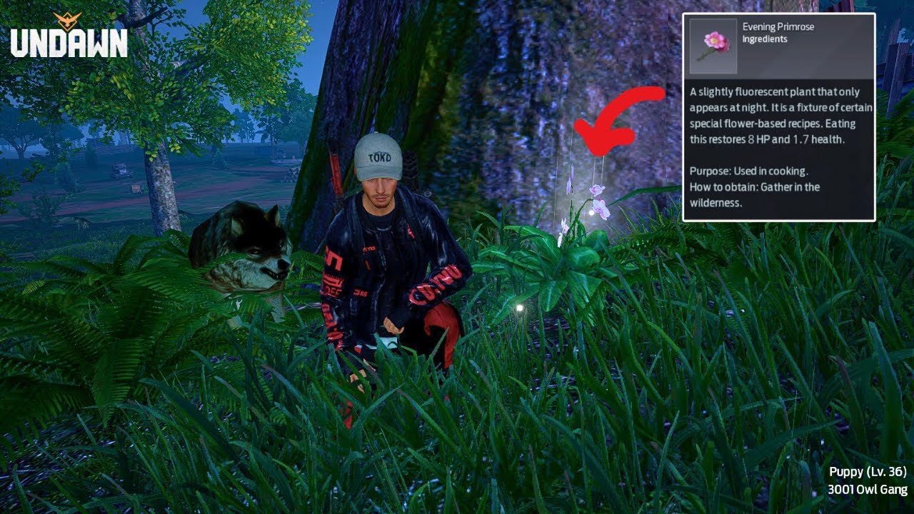 Undawn How To Get Evening Primrose Flower Bug Location Fast Respawn Tutorial YouTube