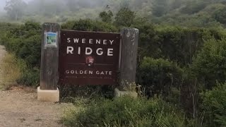 Sweeney Ridge:  a Hilltop to View San Francisco Bay