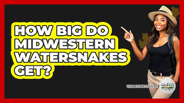 How Big Do Midwestern Watersnakes Get?