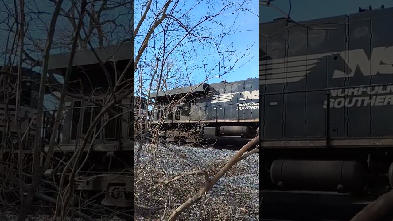 NS