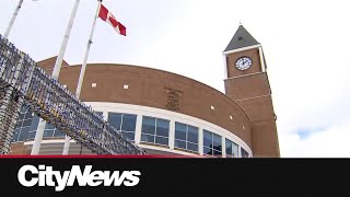 Brampton's Mayor calls on province, feds for support to combat extortion-related crimes