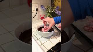 Chocolate Strawberry Yogurt Clusters