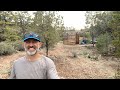 LIVE from my Garden - Progress Update and Sierra Hangout