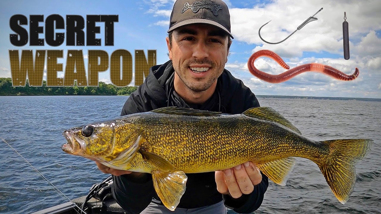 Dropshot Walleyes – The Ultimate Guide (SECRET WEAPON for