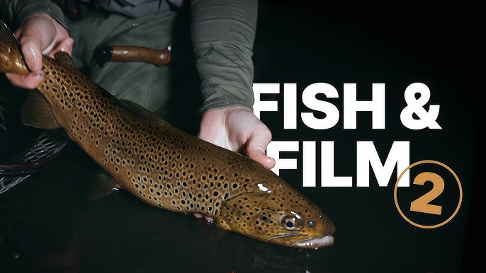 Nighttime Brown Trout. What gear are we using? Fishing for the trophy 