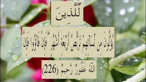 القران الكريم سورة البقرة الاية  226