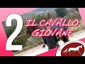 #dressageforjumping il cavallo giovane- parte 2