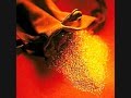 Gold Dust Flux Pavilion (Lyrics)