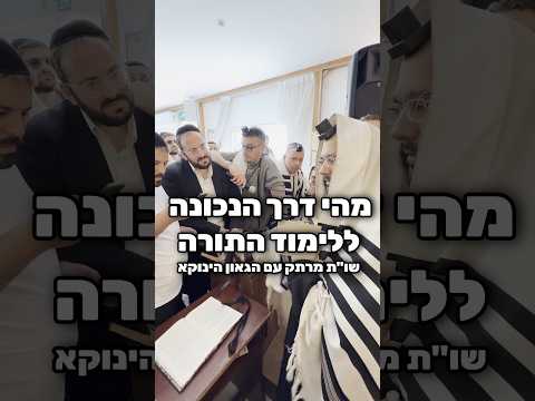 מהי דרך הנכונה ללימוד התורה - שו"ת מרתק עם הגאון הינוקא