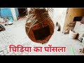 विलेज लाइफ 💁💁 बारिश में बच्चों के लिए भून दी कचरी#reema singh#(vlog)🙏