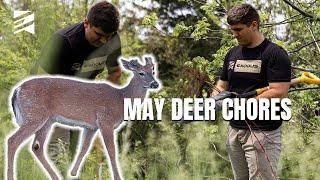 May Deer Hunting Chores & HUGE Mistakes to Avoid