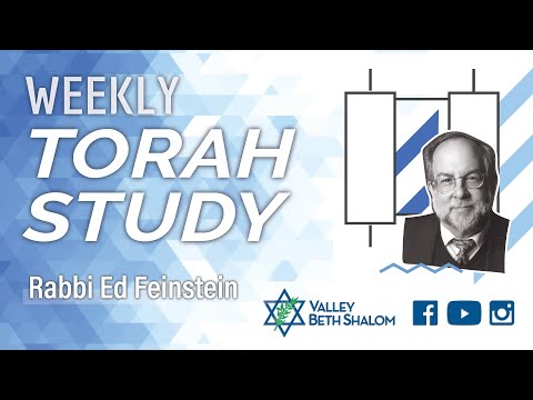 Weekly Torah Study with Rabbi Ed Feinstein - 02/03/23