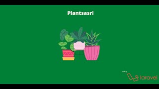 Plantsasri Web Project - Basis Data screenshot 2
