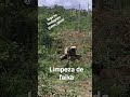 operações pesadas #brasil #cuiaba #excavator #volvo