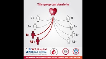 Do you know to which blood group B+ donors can contribute?