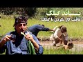 باند گیلک عاقبت کار نکردن با گیلک باند گیلک عاقبت کار نکردن با گیلک
