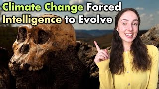 Neogene Life & Human Evolution from Early Apes to Australopithecus to Homo | GEO GIRL