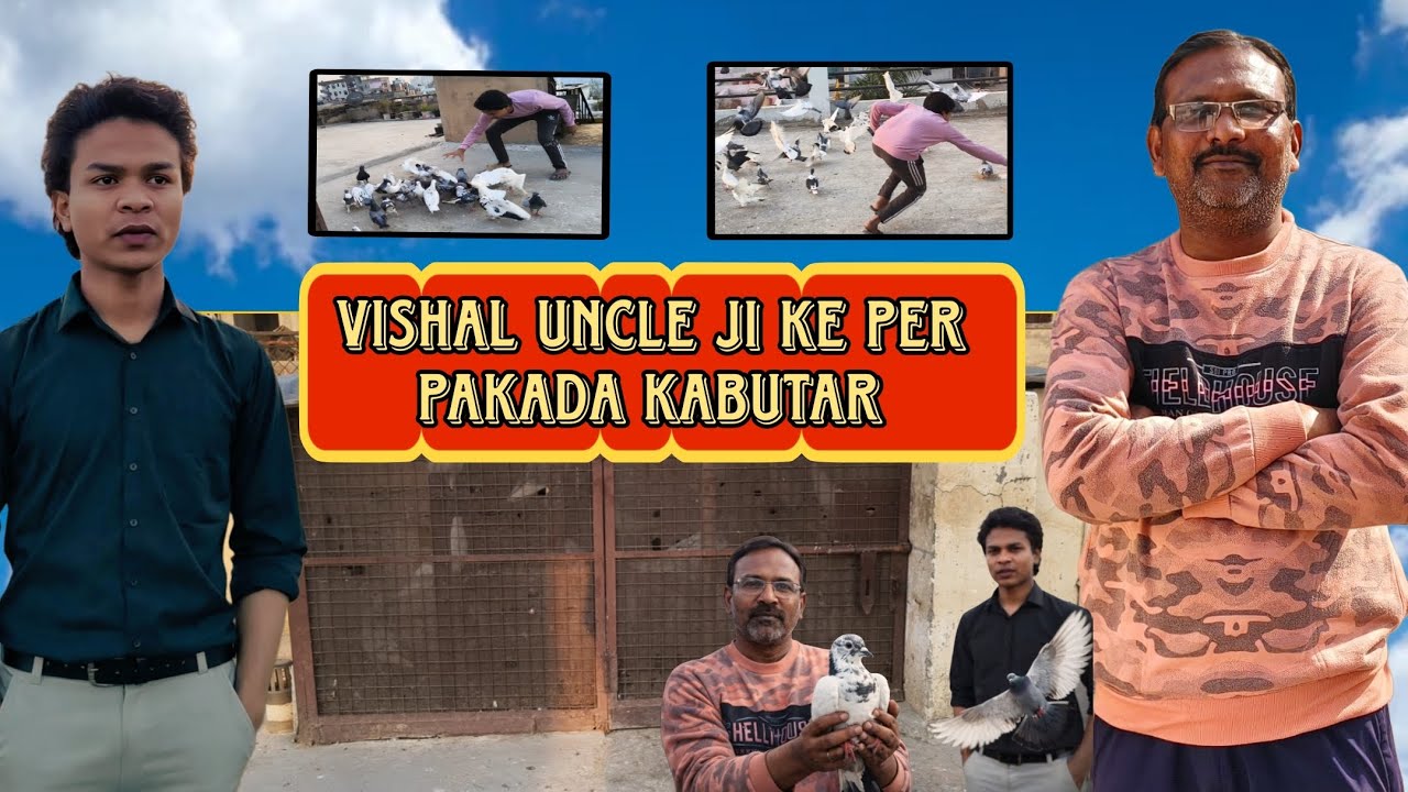 Vishal uncle ke loft per pakada kabutar 🕊️🤩