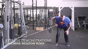 AOW Exercise Demo: Landmine Meadow Row