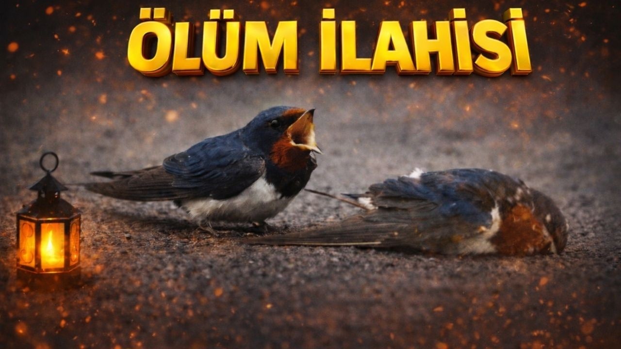 MÜKEMMEL BİR İLAHİ -HALA ÖLÜMÜ ANLAMADIYSAN DİNLE KİMLER GELDİ GEÇTİ BU DÜNYADAN