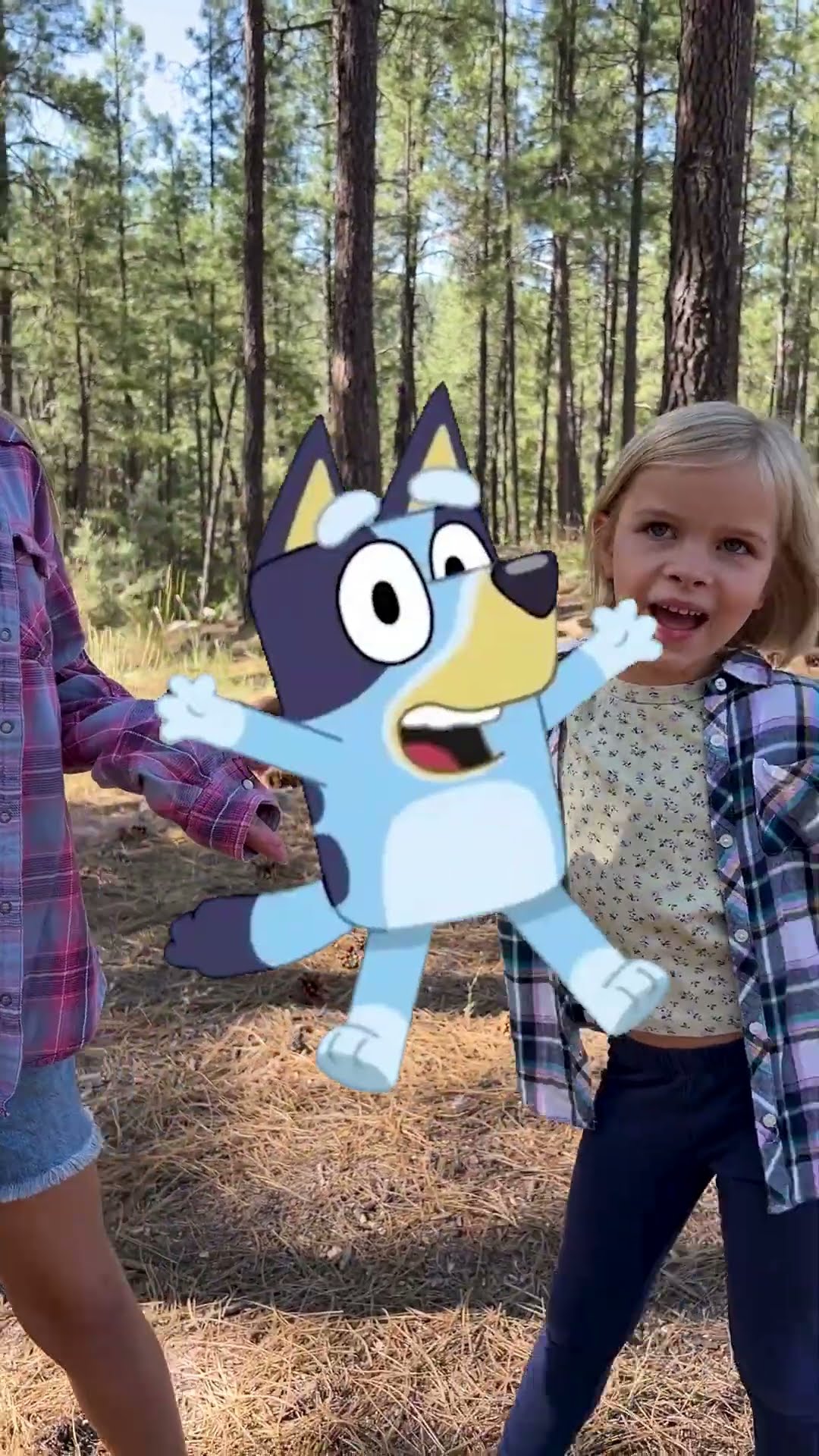 bluey!