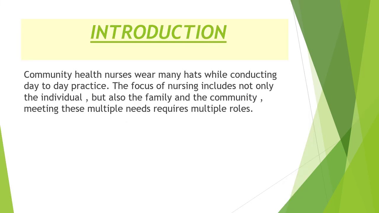 role of community health nurse essay