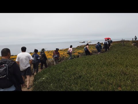 Video: So Hauv Abkhazia: Peb Mus Rau Ntawm Ntug Hiav Txwv Dej Hiav Txwv