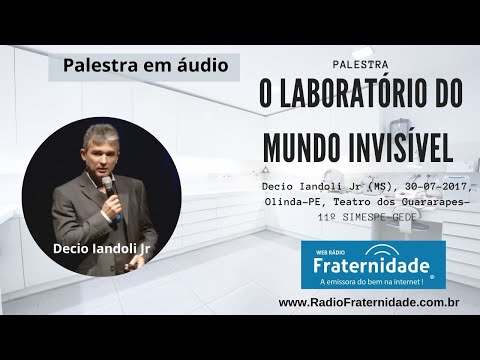 Palestra O laboratório do mundo invisível, Décio Iandoli Jr