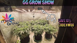 GG Grow Show , Tips & Tricks 4:20