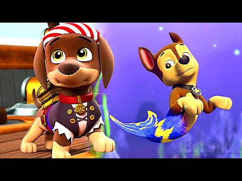 Le chiot pirate rencontre le chiot sirène | Pat' Patrouille | Extrait VF