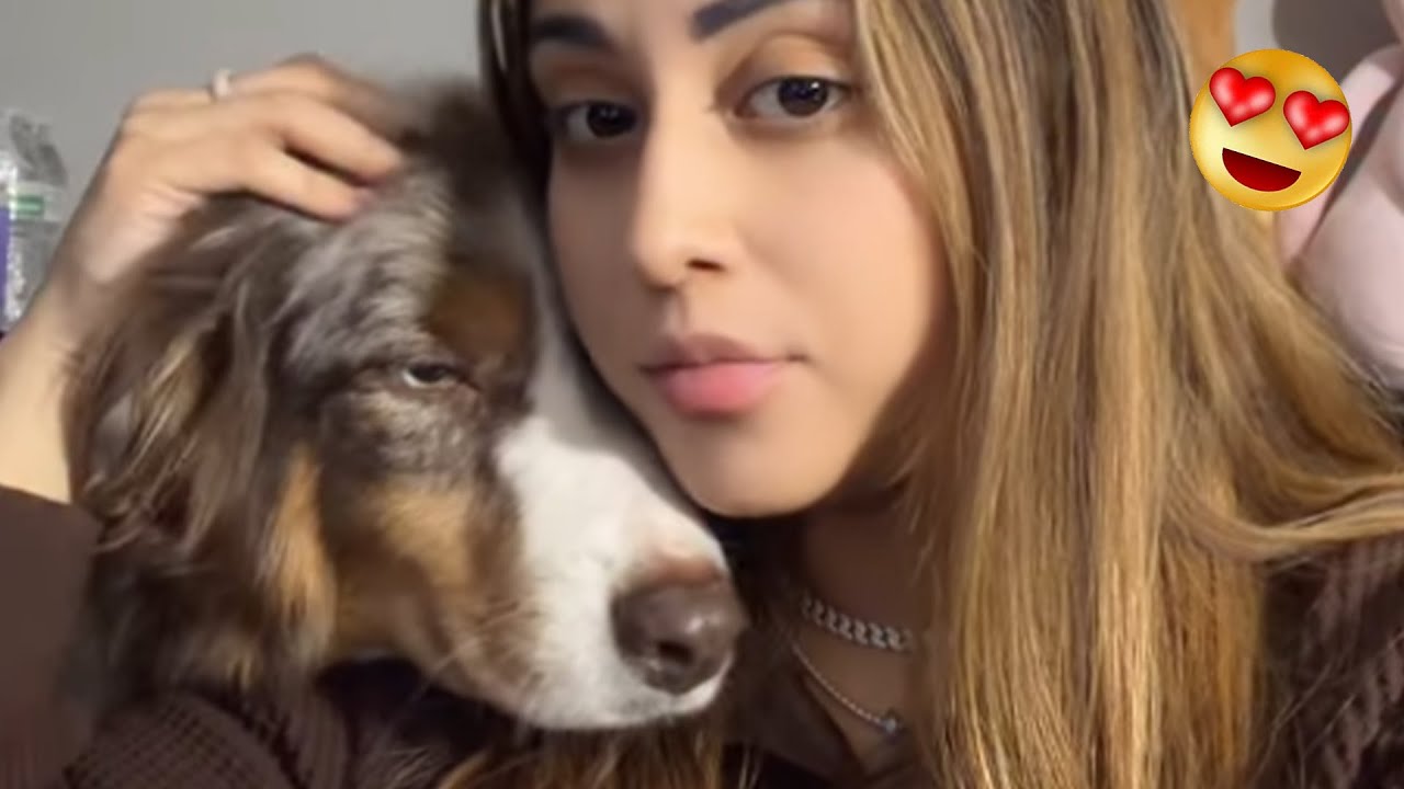 Этот питбуль влюбился в бородатую ящерицу в первый же день 🐶