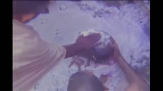 Srila Prabhupada's Final Rituals spiritual Body performing Samadhi at ISKCON Vrindavan in 1977