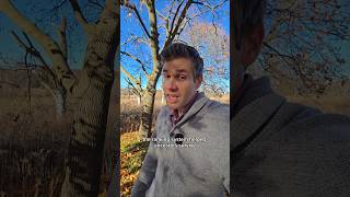 Why You Compulsively Compare Online