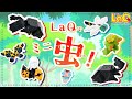 【ラキュー公式】LaQでミニ昆虫を作ろう！カブトムシ・クワガタ・トンボ・カマキリ・パピヨン・ハチ！ 気分は王様！