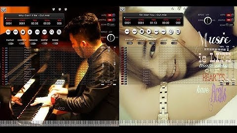Vanbasco Player Personalised Skin