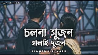 Cholna Sujon | চলনা সুজন | Slowed & Reverb | Siam | Toya | Tamim Hasan