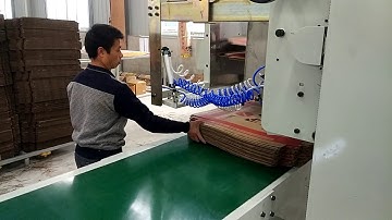 Automatic Counting Stacker and Vibrating Cleaner For 2 pcs one time production pattern