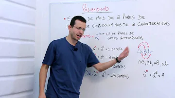 Quais os gametas produzido por um indivíduo VVRR?