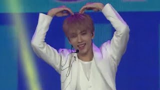 [CUT] 190827 NCT DREAM - 마지막 첫사랑 (My First and Last) @Lotte Duty Free Pre-Opening Concert in Da Nang