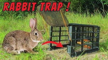 Build a SUPER Easy Rabbit Trap Using a Plastic Basket