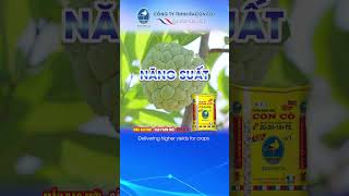 Hành trình của hạt phân chất lượng   Baconco #farming #tintuc #natural #agriculture