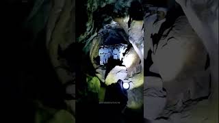 Who Are These Figures In The Darkness?