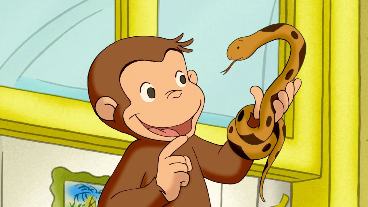 George l'acchiappa-serpenti! 🐵 Curioso Come George 🐵 Cartoni per Bambini