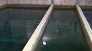 Illinois Drinking Water -part 1 of 2