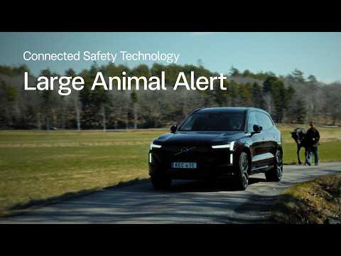Introducing Large Animal Alert | New Intelligent Connected Safety from Volvo