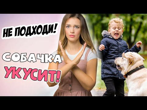 ПРАВИЛА ПОВЕДЕНИЯ РЕБЕНКА С СОБАКОЙ + ваши вопросы | Реакция родителей, страх перед собакой